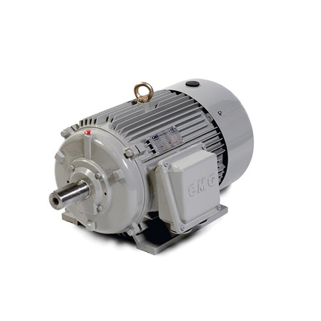 Motor cho máy rửa xe 11kW